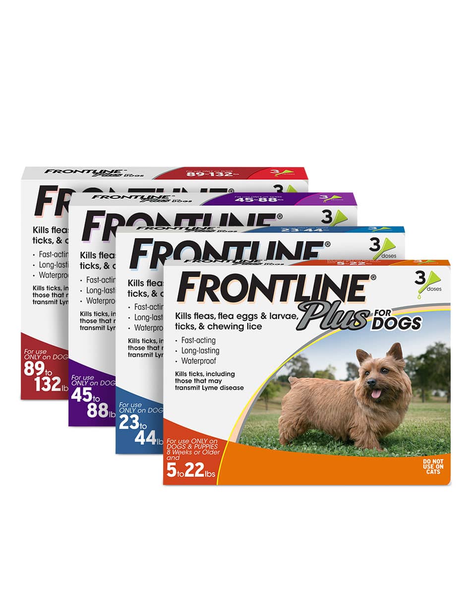 Fleas  Frontline Plus - 3 Dose flea & tick control for dogs