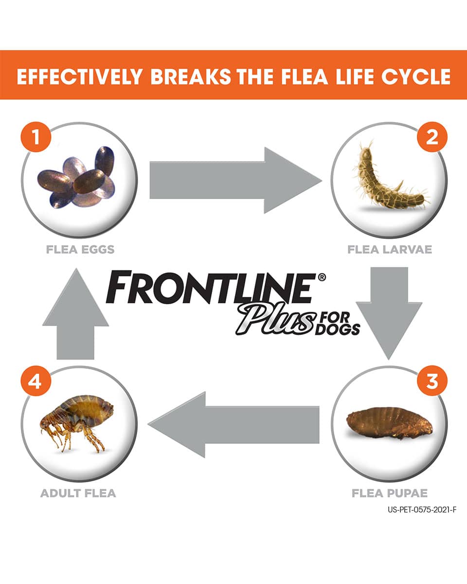 Frontline Plus - 3 Dose flea & tick control for dogs