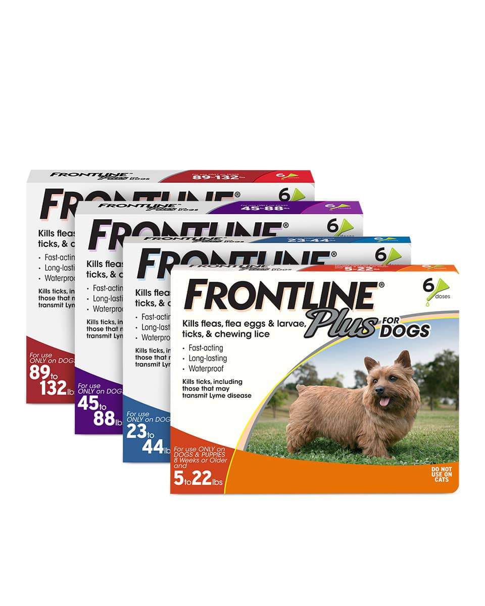 Frontline Plus - 6 Dose flea & tick control for dogs