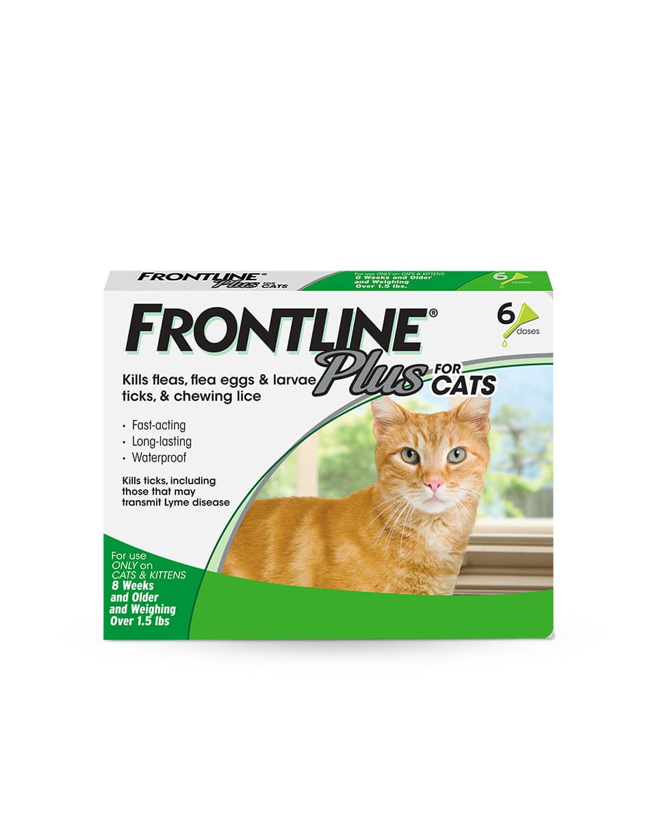 Frontline Plus Flea & Tick control for Cats