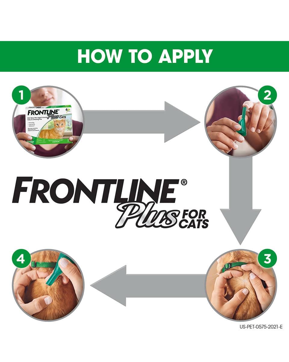 Frontline Plus Flea & Tick control for Cats