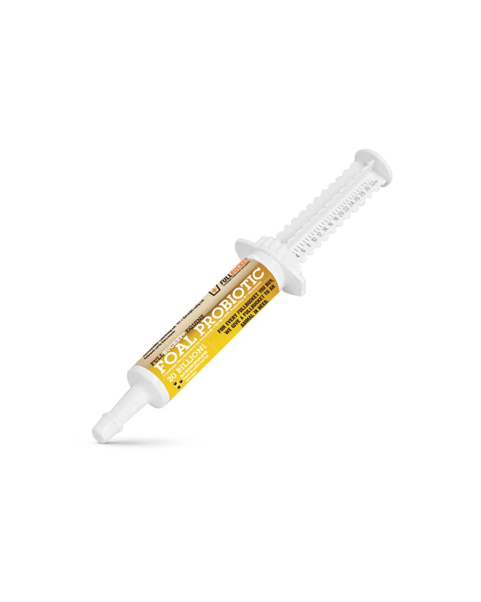 Foal Probiotic Paste
