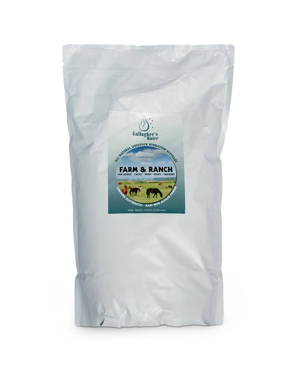 Gallagher's Water Farm & Ranch from Equestribev LLC