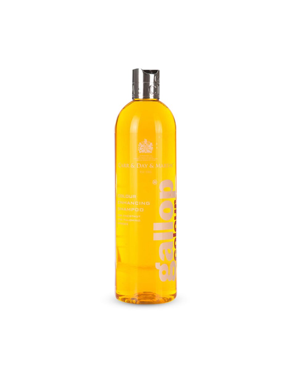 Gallop Colour Enhancing Shampoo for horses from Carr & Day & Martin