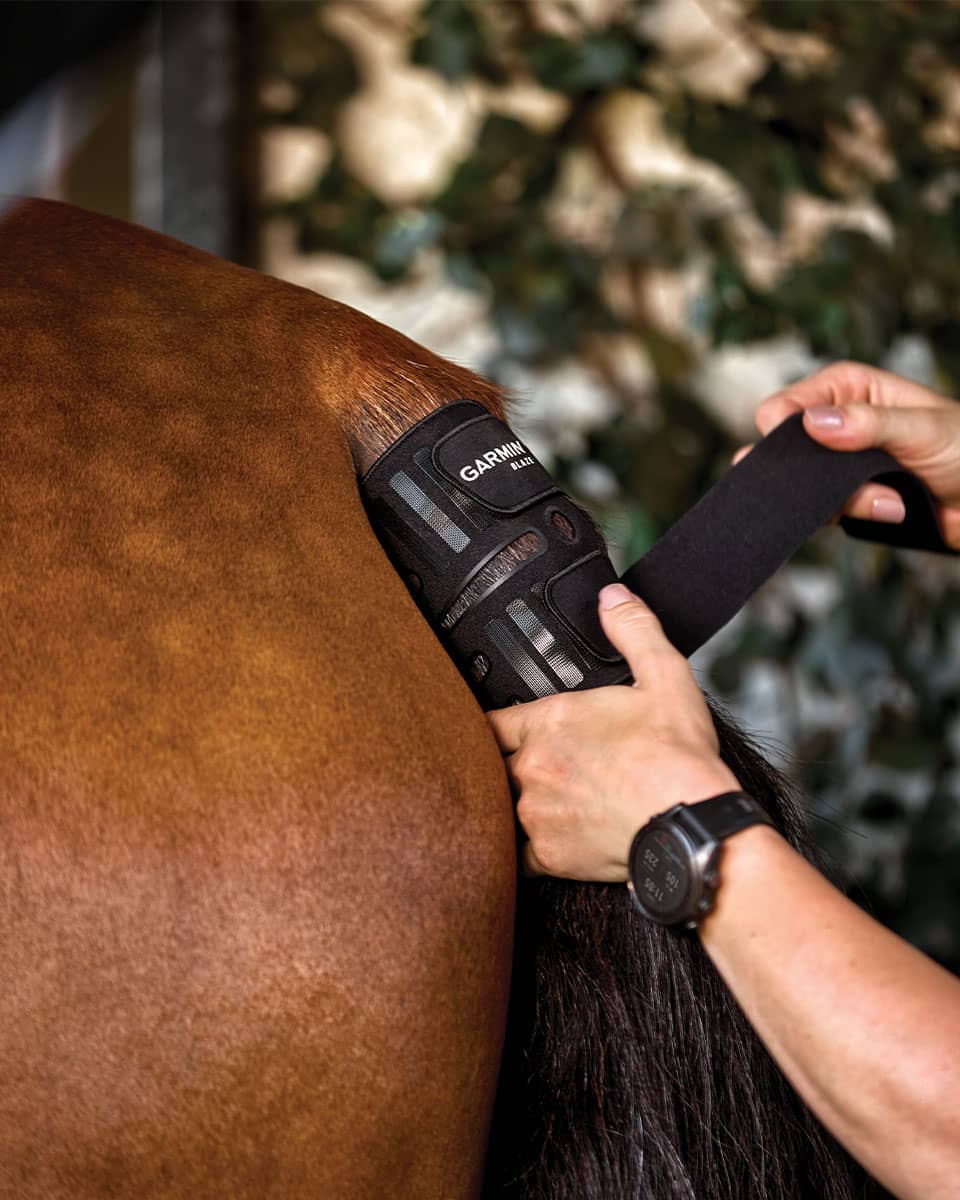 Garmin Blaze Equine Wellness System Tail Wrap