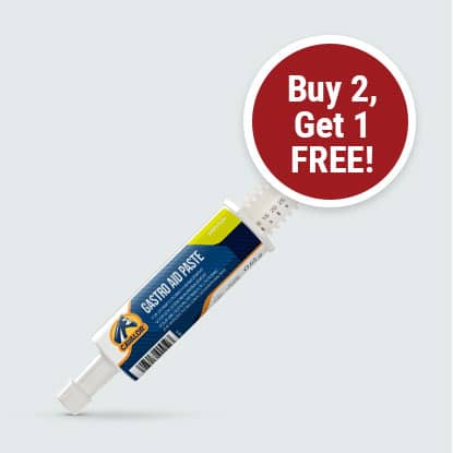 Cavalor Gastro Aid Paste on Sale at FarmVet.com.