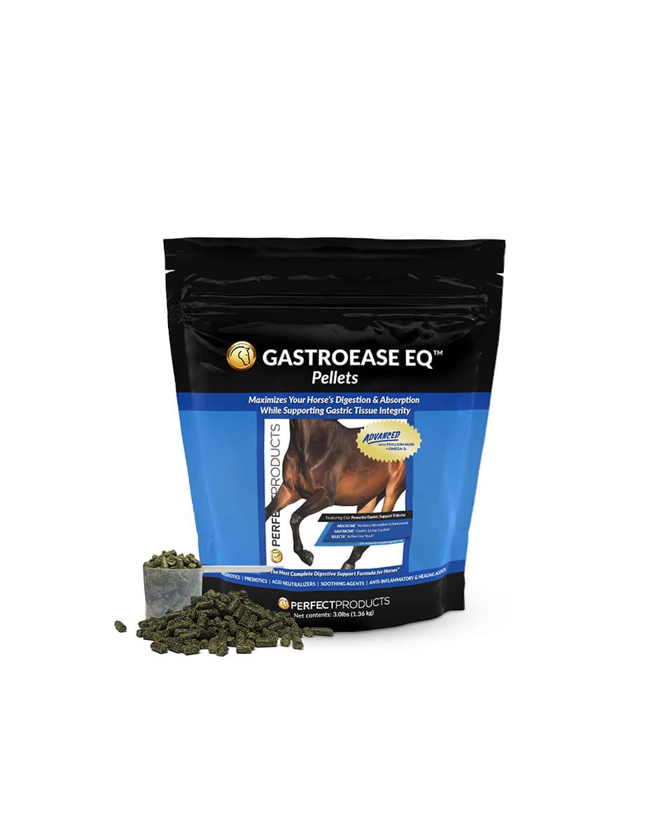 Perfect Products GastroEase EQ Advanced Pellets - gastrointestinal supplement for horses