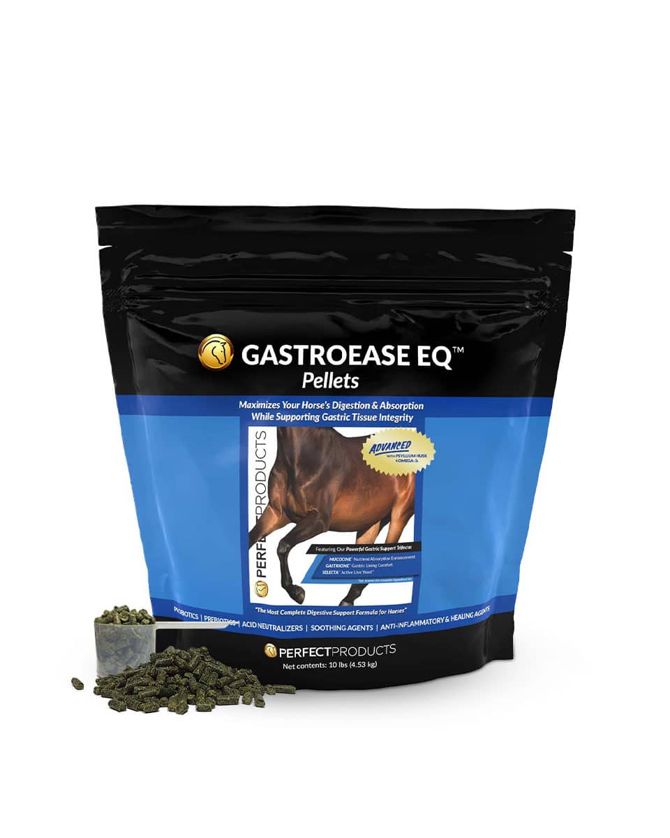 Perfect Products GastroEase EQ Advanced Pellets - gastrointestinal supplement for horses