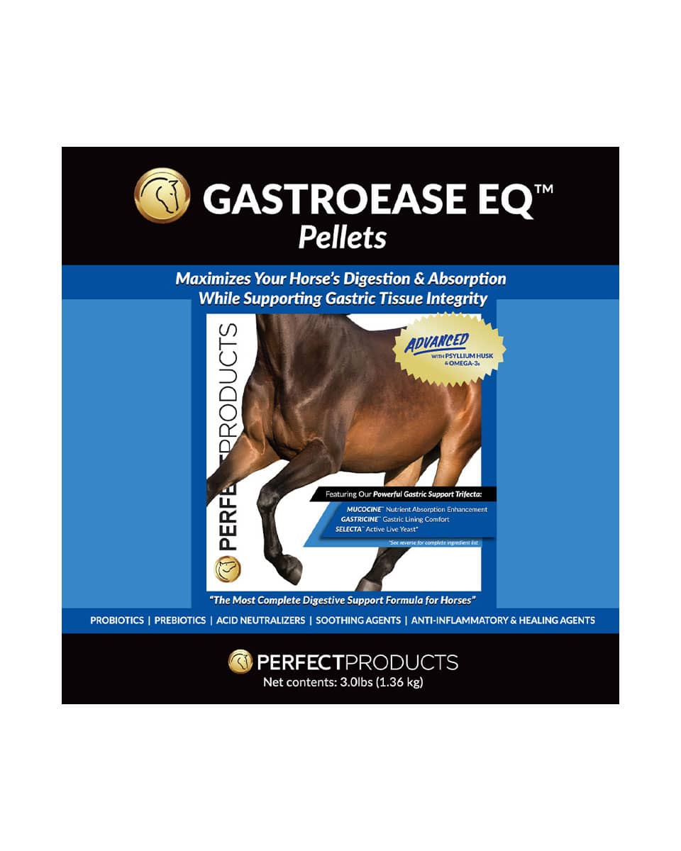 Perfect Products GastroEase EQ Advanced Pellets - gastrointestinal supplement for horses