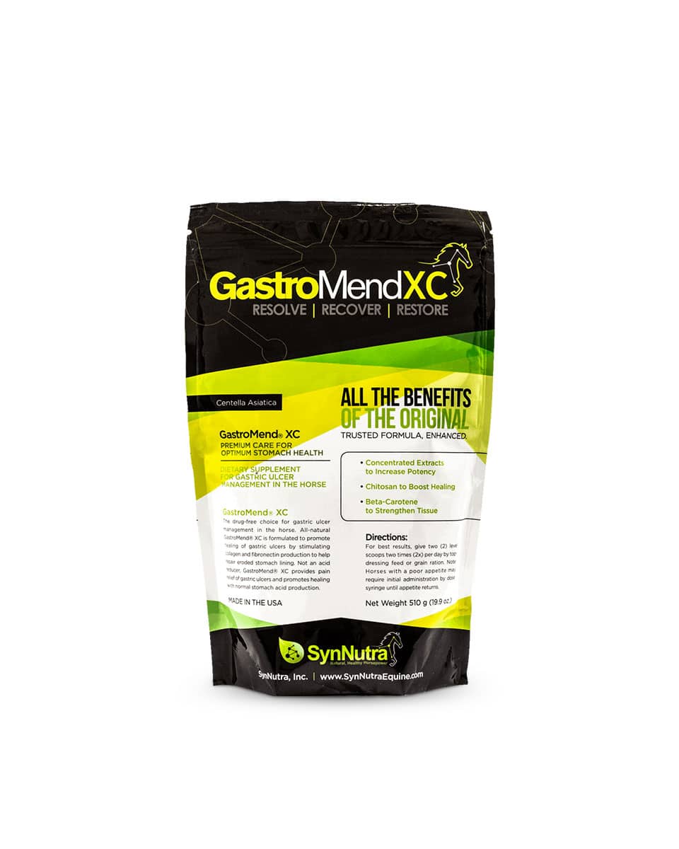 GastroMend XC supplement for horses from SynNutra
