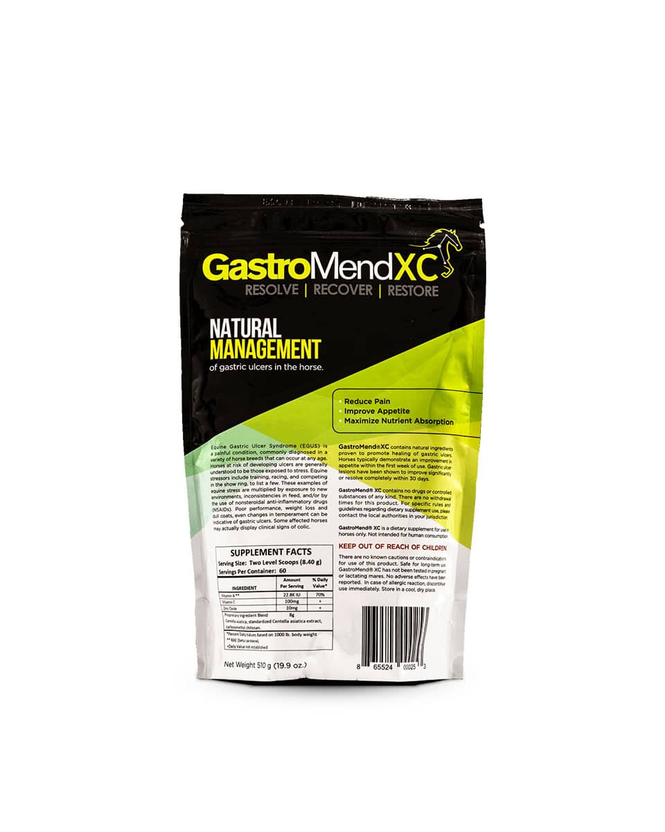 GastroMend XC supplement for horses from SynNutra