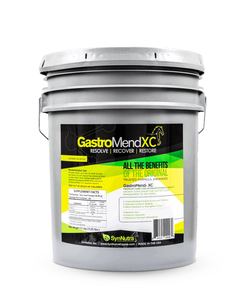 GastroMend XC supplement for horses from SynNutra