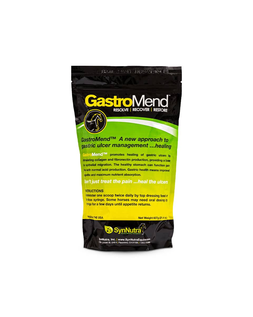 GastroMend supplement for horses by SynNutra