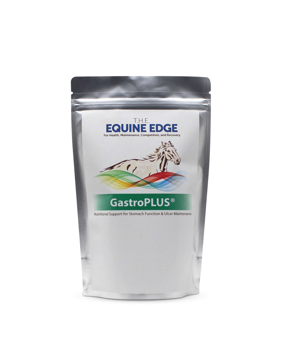 GastroPLUS feed-through supplement for horses by T.H.E. Equine Edge