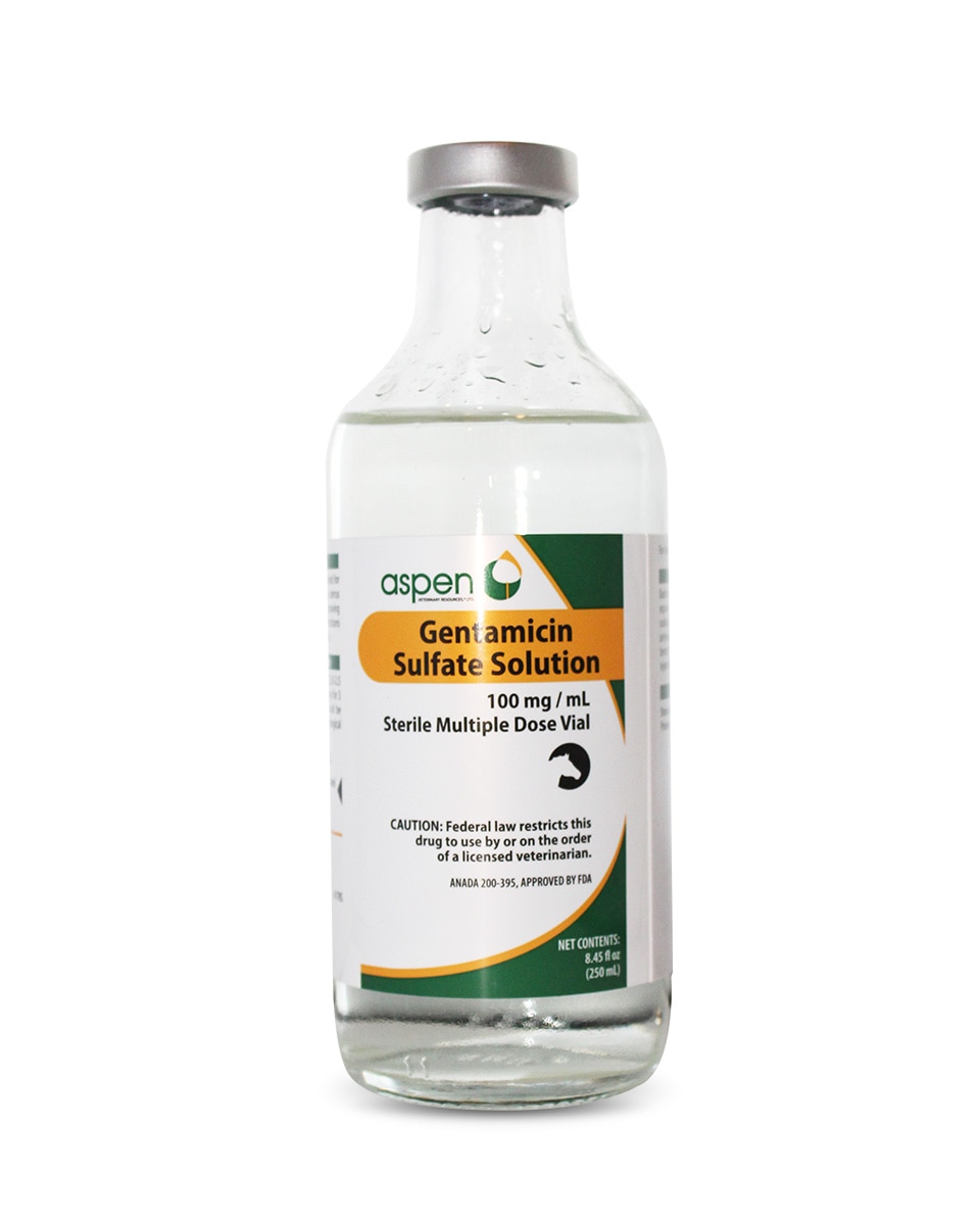 Gentamicin Sulfate Solution