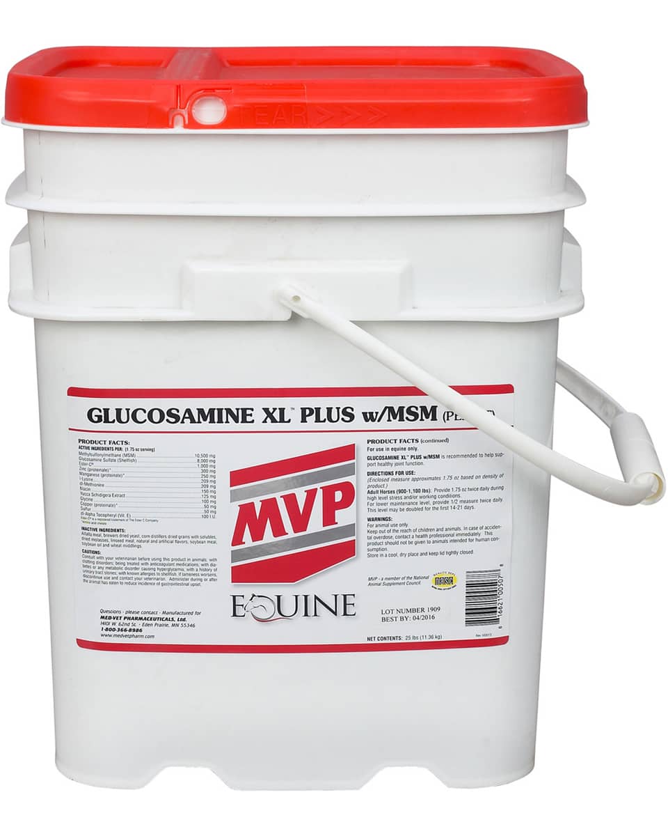 Glucosamine XL Plus with MSM