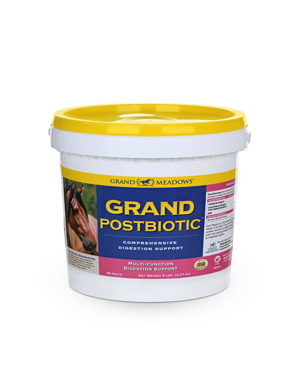 Grand Meadows Grand Postbiotics digestive supplement for horses