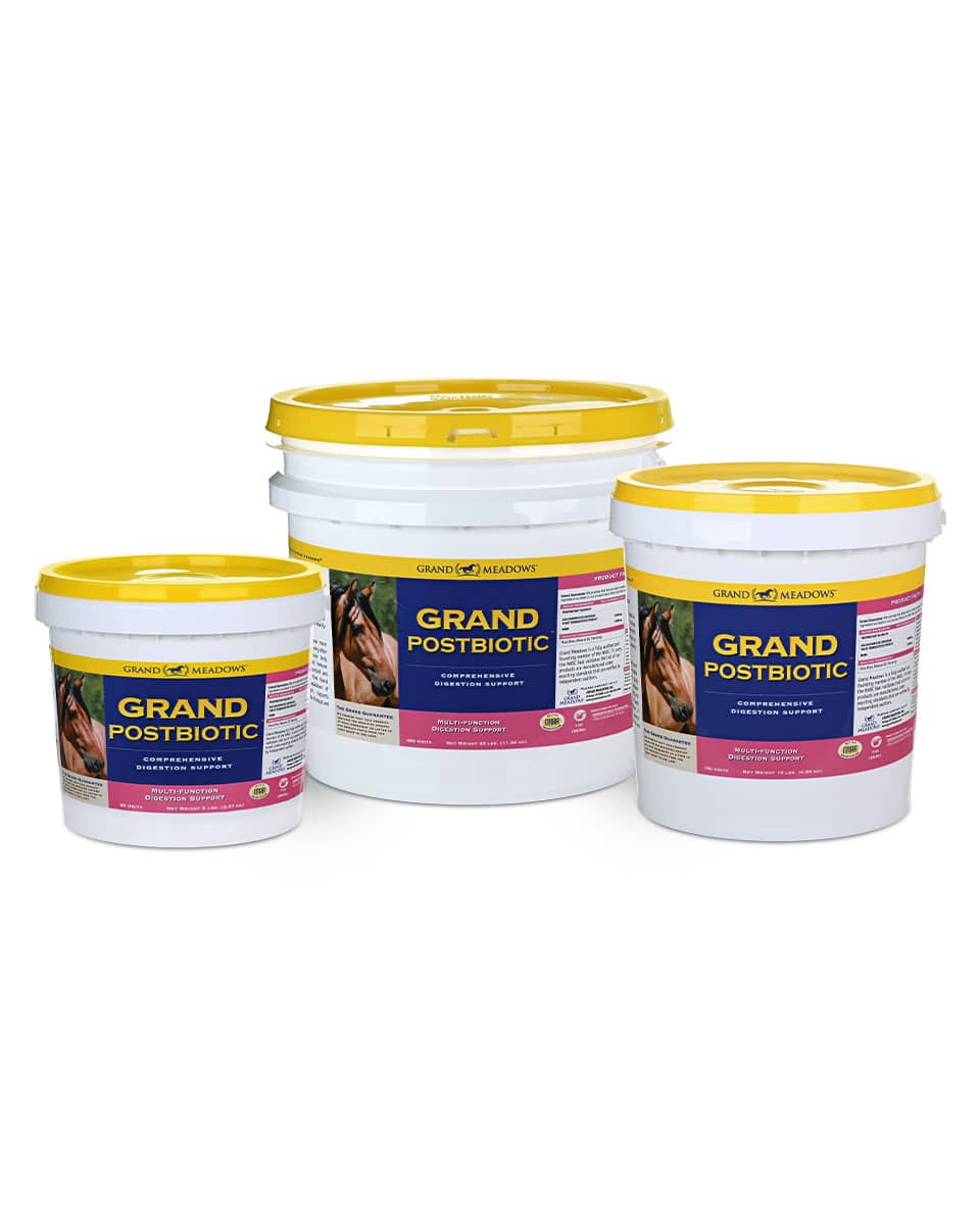 Grand Meadows Grand Postbiotics digestive supplement for horses