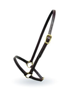 Grooming Halter from Walsh