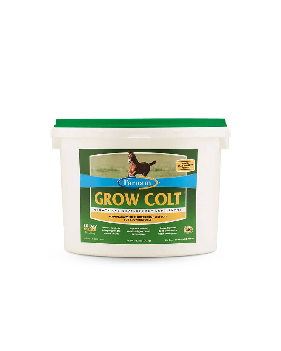 Farnam Grow Colt development supplement for foals