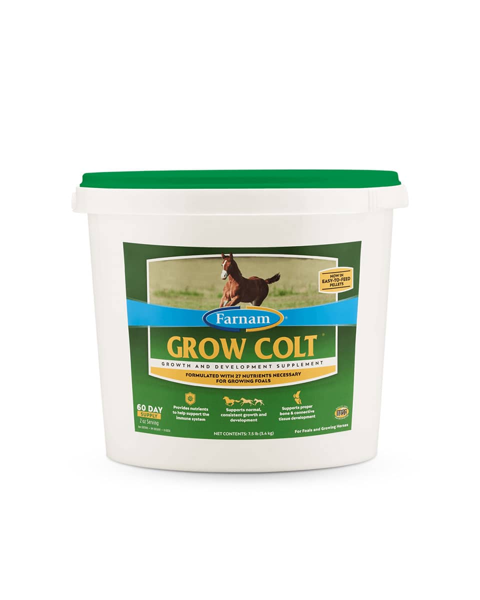 Farnam Grow Colt development supplement for foals