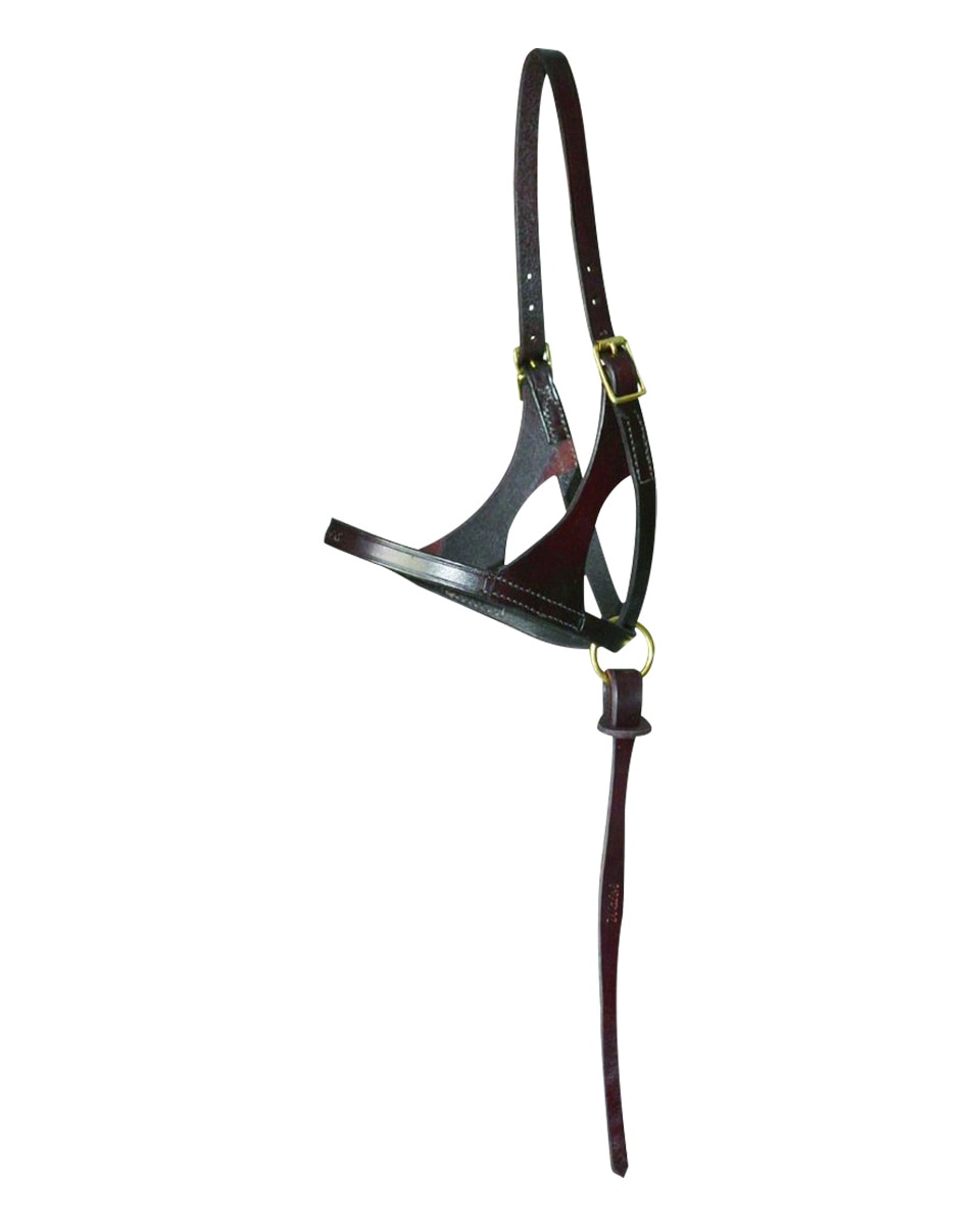 Walsh Grow With Me Foal Halter