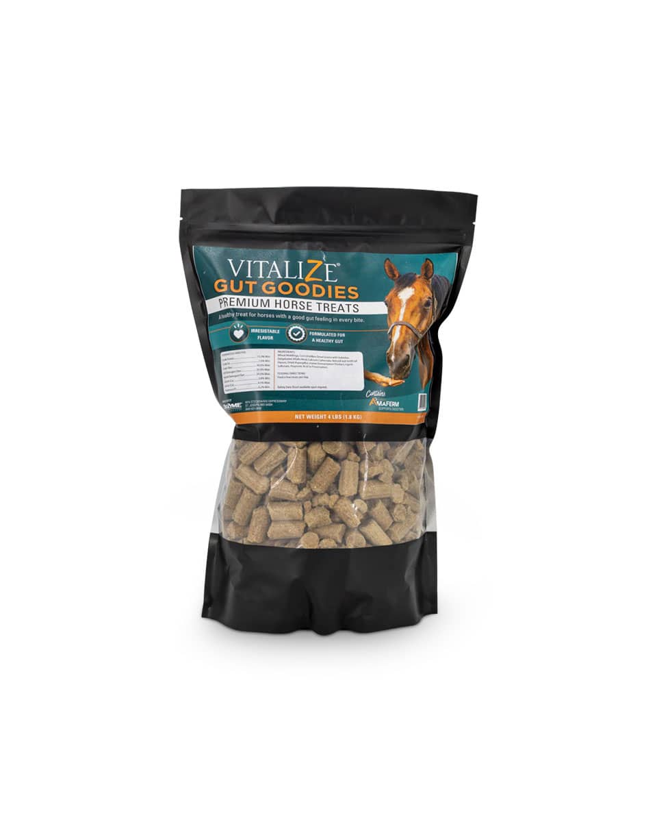 Vitalize Gut Goodies digestive treats for horses