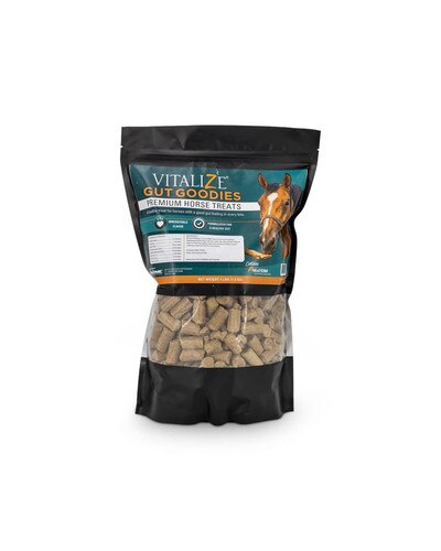 Vitalize Gut Goodies digestive treats for horses