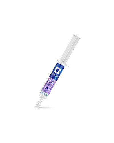 Bluebonnet Gut Reset Paste Horse Supplement for digestive support during stress