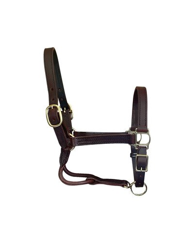 Horse Cents Leather Dress Halter with Buckle Chin