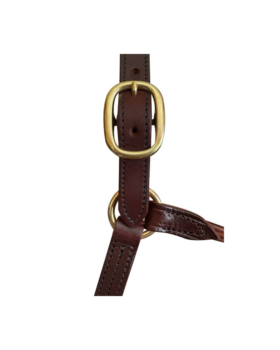 Leather Dress Halter with Buckle Chin from Horse Cents