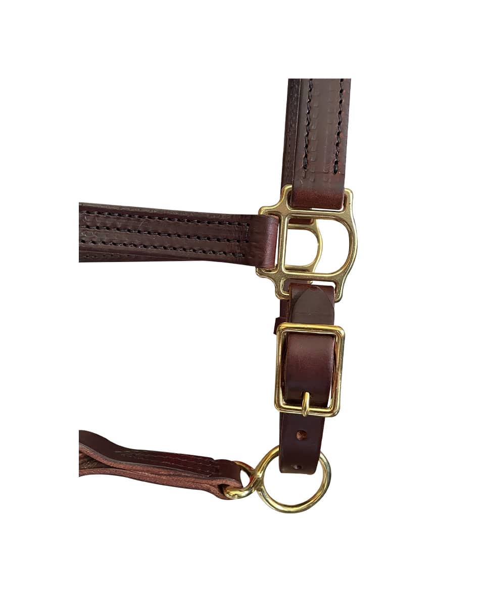 Horse Cents Leather Dress Halter Buckle Chin