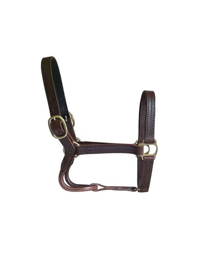 Horse Cents Leather Dress Halter with English Chin