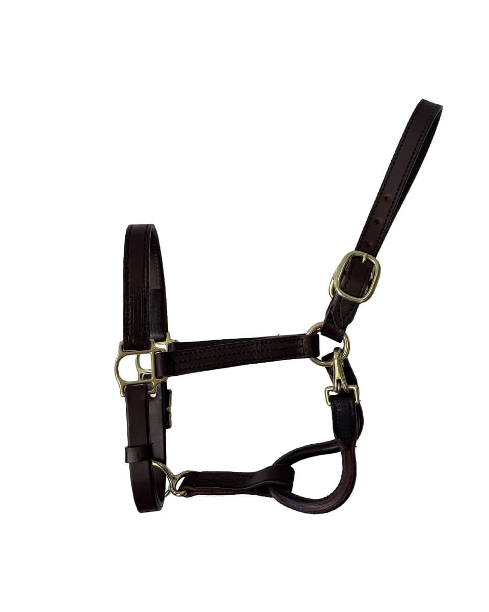 Horse Cents Leather Dress Halter with Buckle Chin and Throat Snap