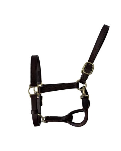 Horse Cents Leather Dress Halter with Buckle Chin and Throat Snap