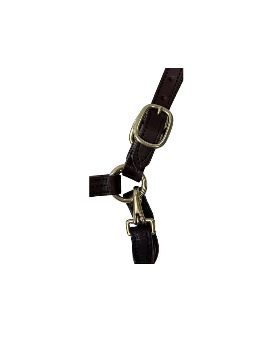 Leather Dress Halter with Buckle Chin and Throat Snap