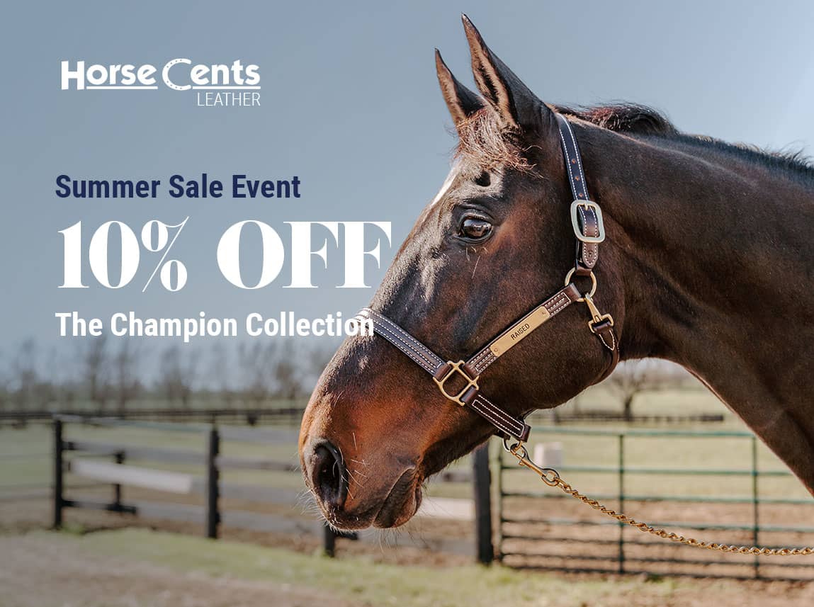 Horse Cents Leather halters, leads and more on sale at FarmVet.com.