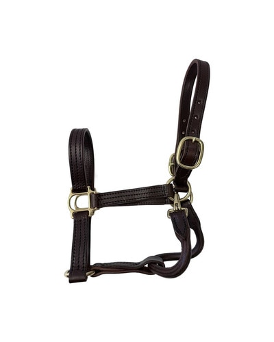 Horse Cents Leather Dress Halter with English Chin and Throat Snap