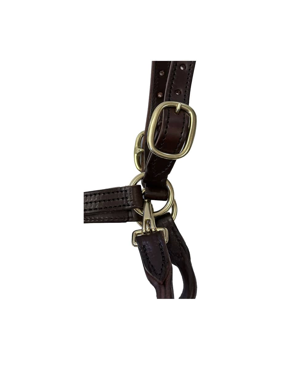 Leather Dress Halter with English Chin and Throat Snap