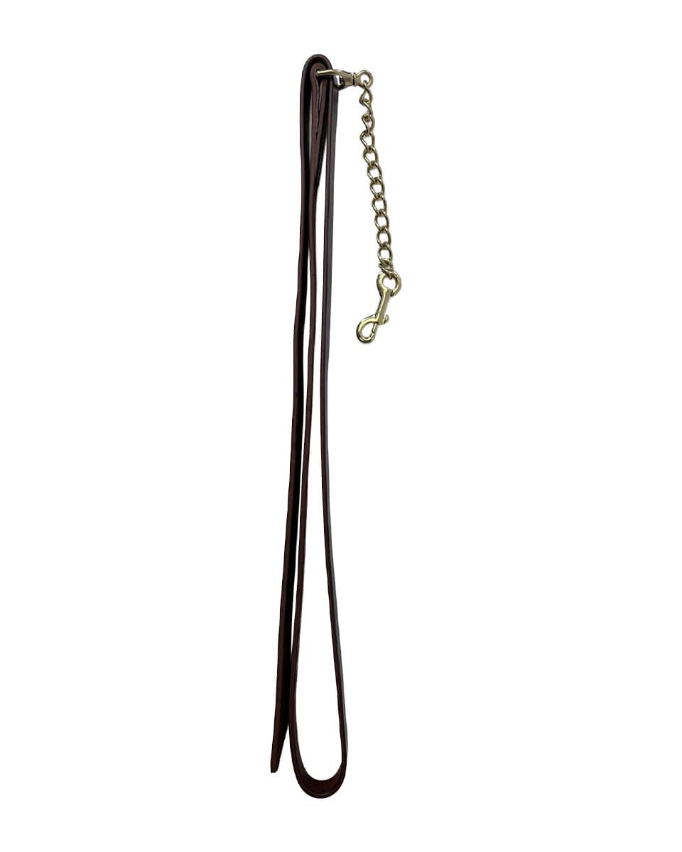 Horse Cents Leather Lead Shank with Chain
