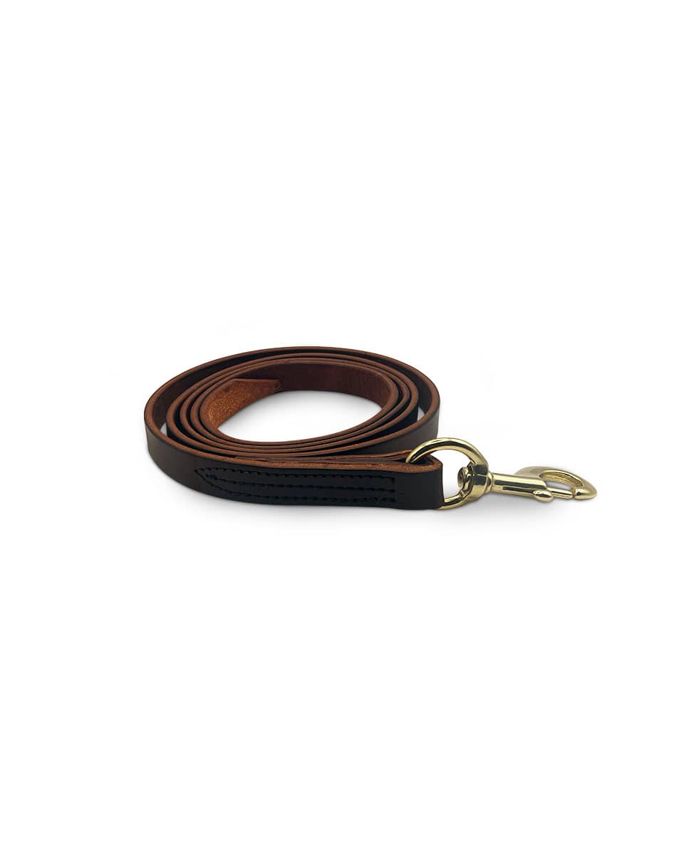 Leather Lead with Snap from Horse Cents