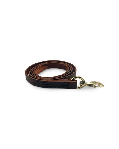 Leather Lead with Snap from Horse Cents