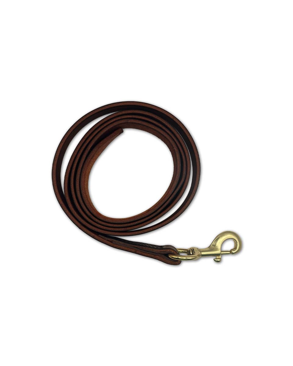 Horse Cents Leather Lead with Snap