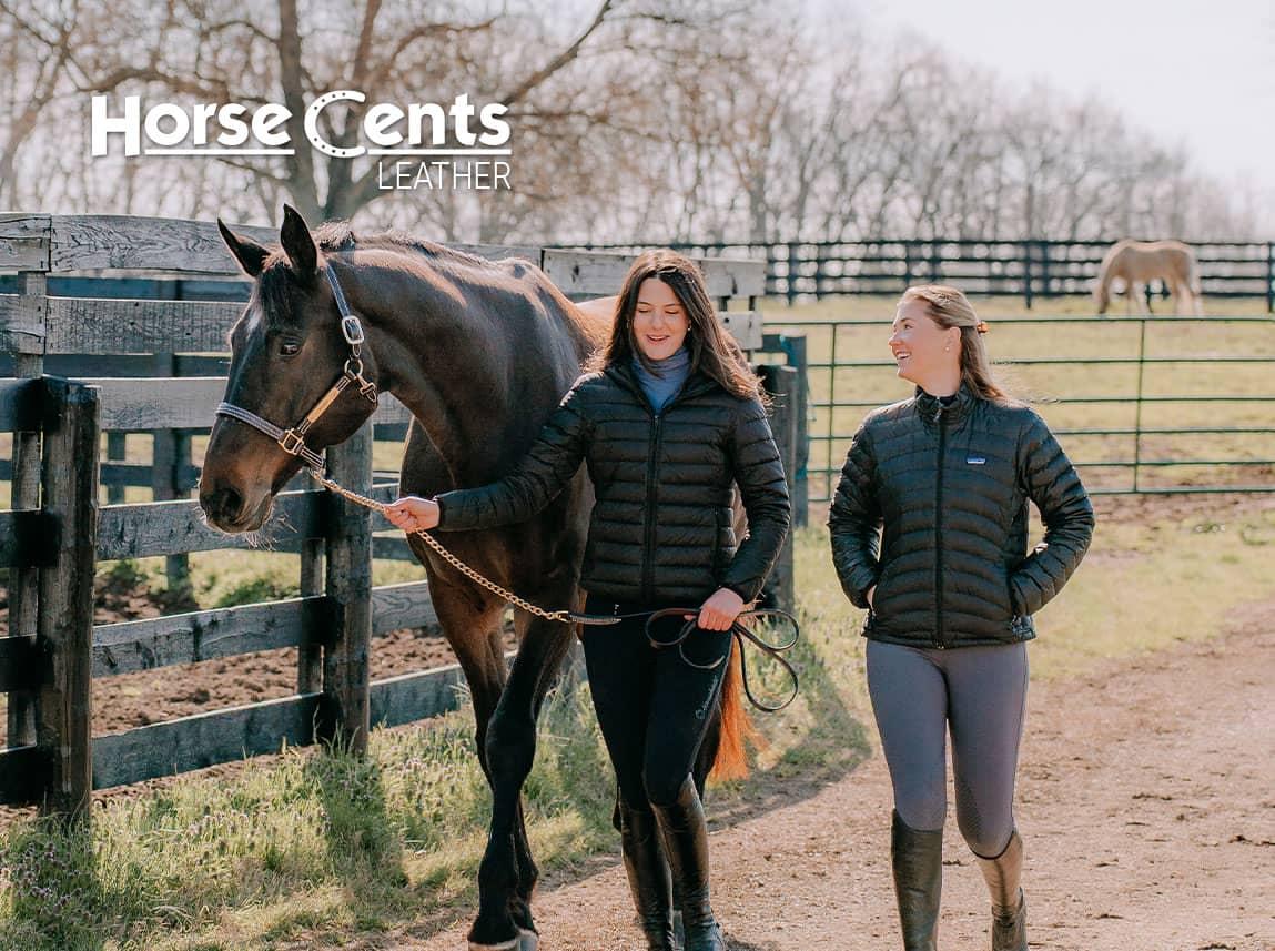 Horse Cents Leather halters, leads and more for sale at FarmVet.com.