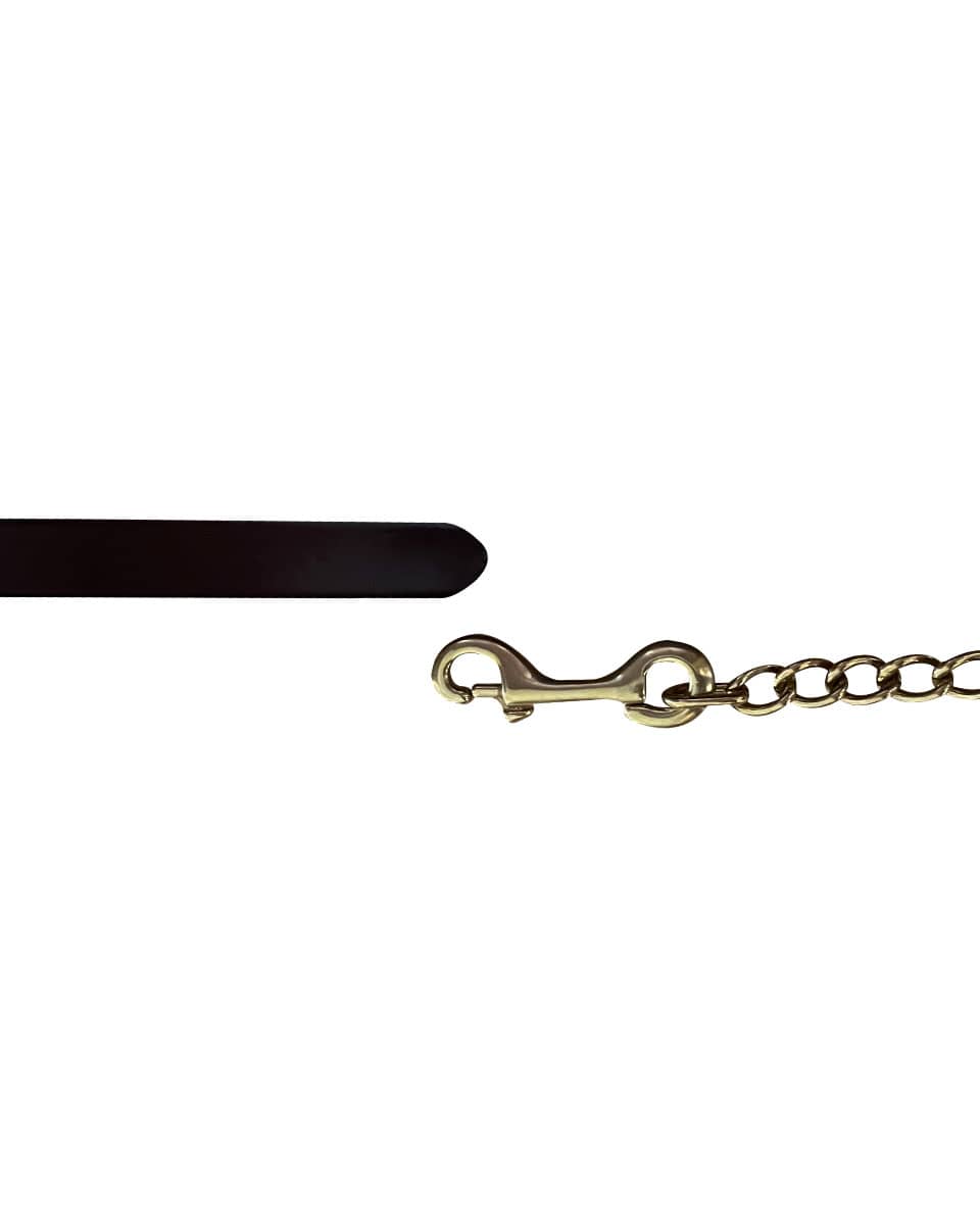 Horse Cents Leather 7ft Show lead and solid brass chain