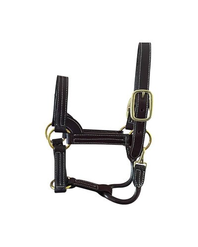 Horse Cents Stallion Leather Show Halter
