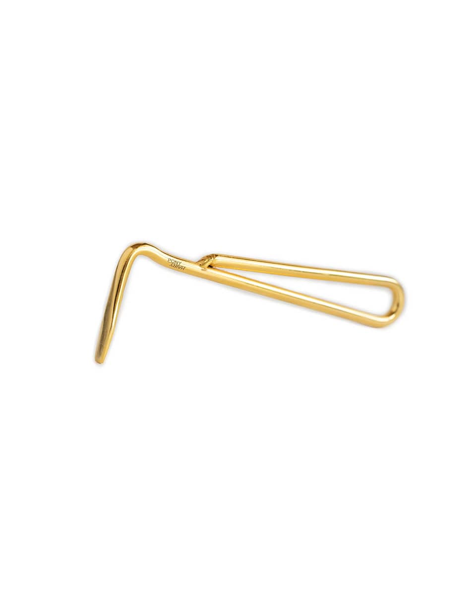 Hairy Pony Kids Brush Kit - Gold Hoof Pick