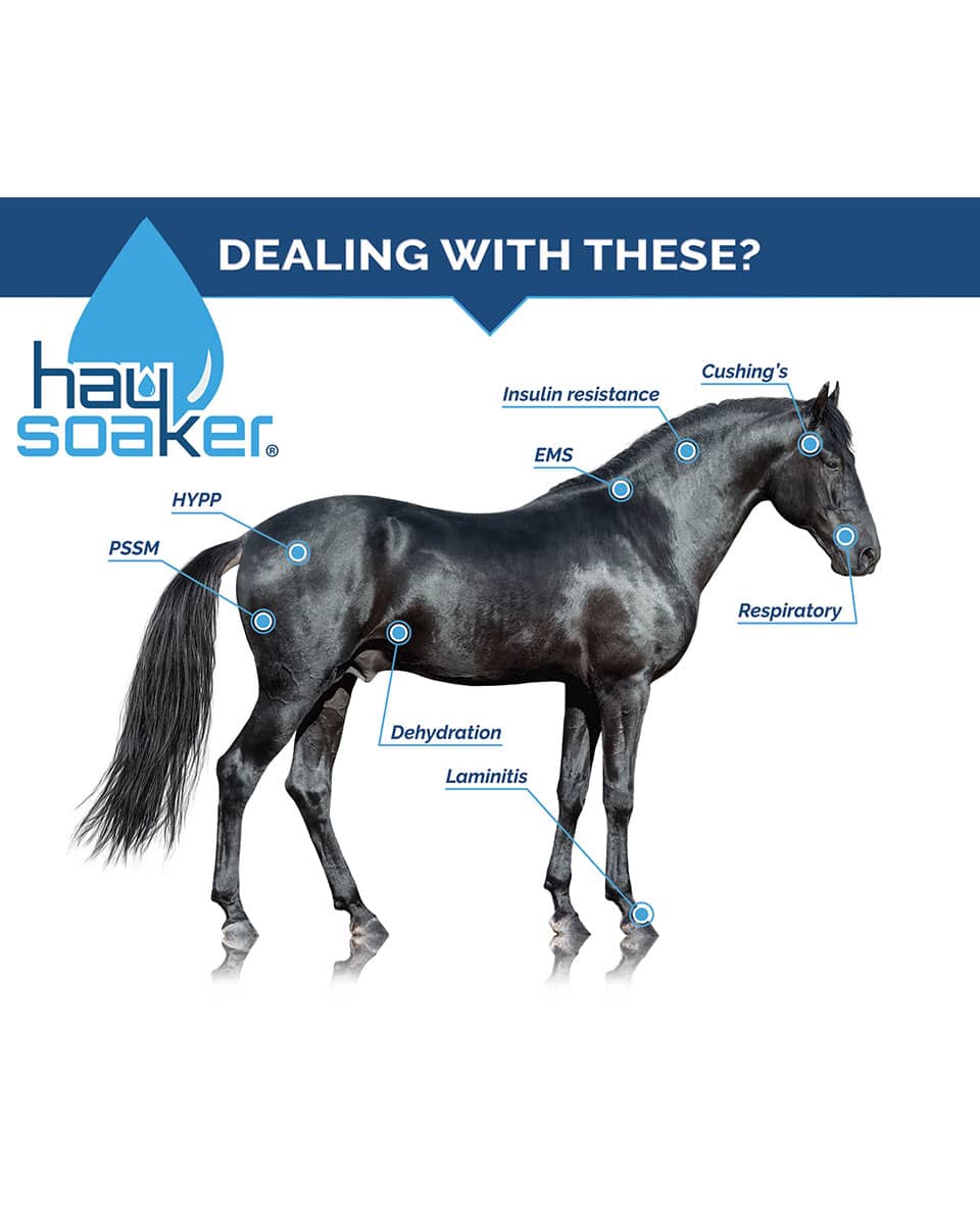 The Hay Soaker for horses with insulin resistance