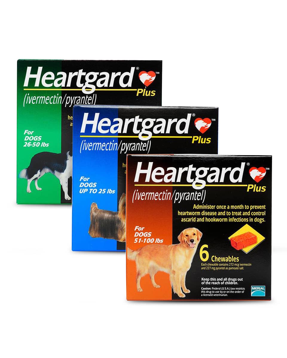 heartworm and dewormer