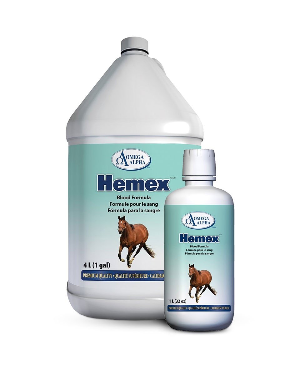 Omega Alpha Hemex equine supplement